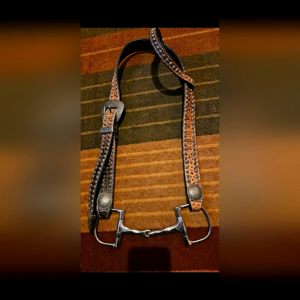 Belt style draft headstall and bit
